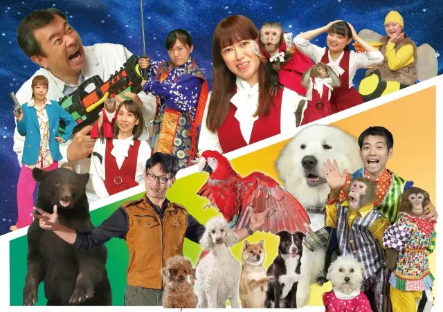 🏞️ 아소 커들리 도미니언 이미지 4